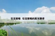 引流策略  引流策略的英文翻译