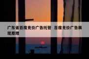 广东省百度竞价广告托管  百度竞价广告展现原理