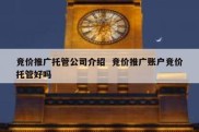 竞价推广托管公司介绍  竞价推广账户竞价托管好吗