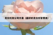 竞价托管公司方案（最好的竞价托管费用）