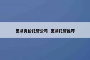 芜湖竞价托管公司  芜湖托管推荐