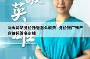 汕头网站竞价托管怎么收费  竞价推广账户竞价托管多少钱