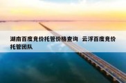 湖南百度竞价托管价格查询  云浮百度竞价托管团队