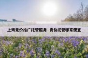 上海竞价推广托管服务  竞价托管哪家便宜