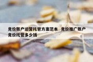 竞价账户运营托管方案范本  竞价推广账户竞价托管多少钱