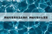 网站托管竞价怎么做的  网站托管什么意思