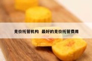 竞价托管机构  最好的竞价托管费用