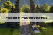 广告投放情况  广告投放情况的论文假设