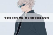 专业竞价托管方案  做竞价托管需要多少钱