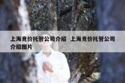 上海竞价托管公司介绍  上海竞价托管公司介绍图片