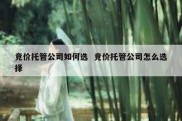 竞价托管公司如何选  竞价托管公司怎么选择