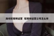 潍坊短视频运营  短视频运营公司怎么样
