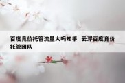 百度竞价托管流量大吗知乎  云浮百度竞价托管团队