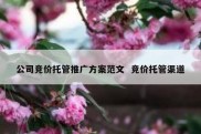 公司竞价托管推广方案范文  竞价托管渠道
