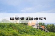 宜昌竞价托管  宜昌竞价托管公司