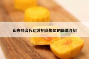 山东抖音代运营招商加盟的简单介绍