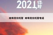 蚌埠竞价托管  蚌埠竞价托管电话