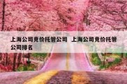 上海公司竞价托管公司  上海公司竞价托管公司排名