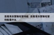 百度竞价营销托管功能  百度竞价营销托管功能是什么