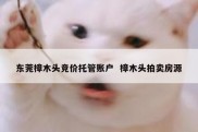 东莞樟木头竞价托管账户  樟木头拍卖房源