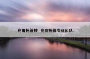 竞价托管技  竞价托管专业团队