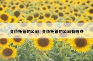 竞价托管的公司  竞价托管的公司有哪些