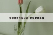 光谷竞价托管公司  光谷交易平台