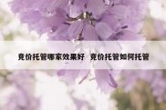 竞价托管哪家效果好  竞价托管如何托管