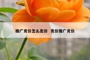推广竞价怎么出价  竞价推广竞价