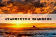 山东百度竞价托管公司  济南百度竞价公司