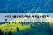 长沙竞价托管哪家好用些  哪家竞价托管专业