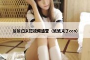 波波归来短视频运营（波波来了ceo）