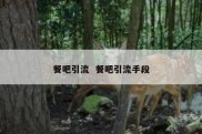 餐吧引流  餐吧引流手段