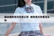 丽水搜狗竞价托管公司  搜狗竞价效果怎么样