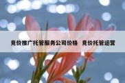 竞价推广托管服务公司价格  竞价托管运营