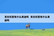 竞价托管有什么用途吗  竞价托管有什么用途吗