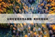 公司托管竞价怎么做账  竞价托管话术