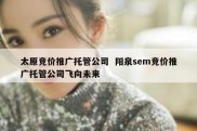 太原竞价推广托管公司  阳泉sem竞价推广托管公司飞向未来