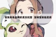 宝安具有品牌的竞价托管  深圳宝安拍卖房产