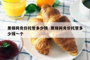 黑锋网竞价托管多少钱  黑锋网竞价托管多少钱一个