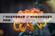 广州抖音短视频运营（广州抖音短视频运营灵风网络）