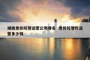 湖南竞价托管运营公司排名  竞价托管代运营多少钱
