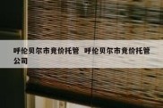呼伦贝尔市竞价托管  呼伦贝尔市竞价托管公司