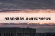 菏泽竞价托管费用  竞价托管公司操作流程