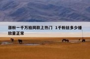 涨粉一千万拍同款上热门  1千粉丝多少播放量正常