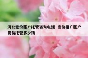 河北竞价账户托管咨询电话  竞价推广账户竞价托管多少钱