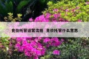 竞价托管运营流程  竞价托管什么意思
