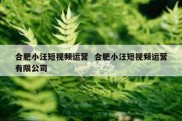 合肥小汪短视频运营  合肥小汪短视频运营有限公司