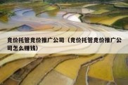 竞价托管竞价推广公司（竞价托管竞价推广公司怎么赚钱）