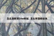 怎么涨粉到10w粉丝  怎么样涨粉丝快